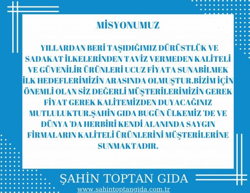 MİSYON